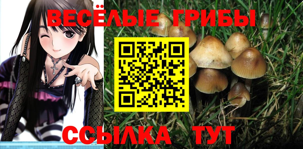 Псилоцибиновые грибы мухоморы  Галлюциногенные грибы Magic Shrooms  Добрянка  Вход с VPN 