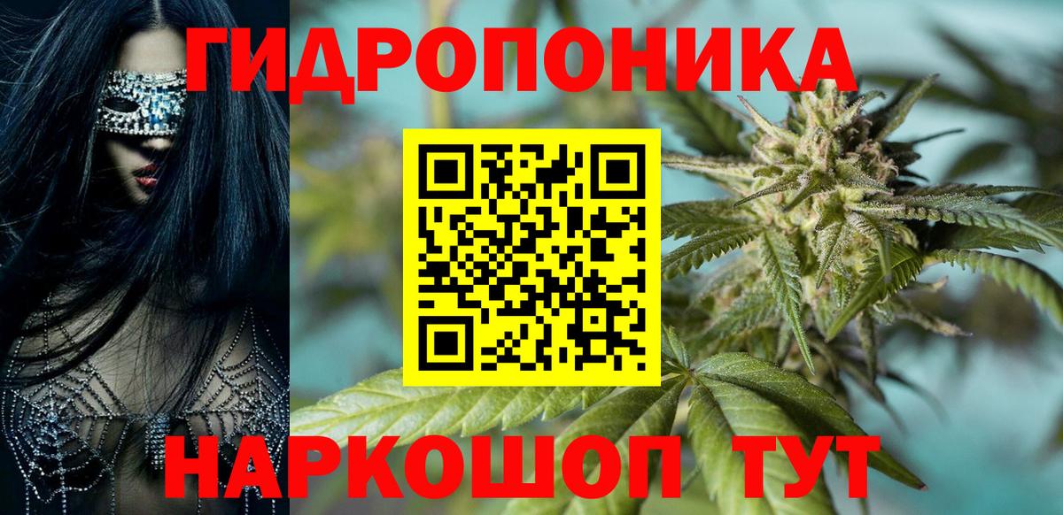 Бошки марихуана гибрид  Вход с VPN  Бошки Шишки тримм  Добрянка  Конопля OG Kush 